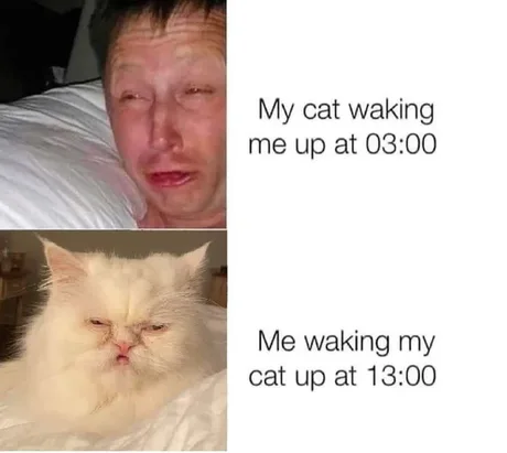 GM HL