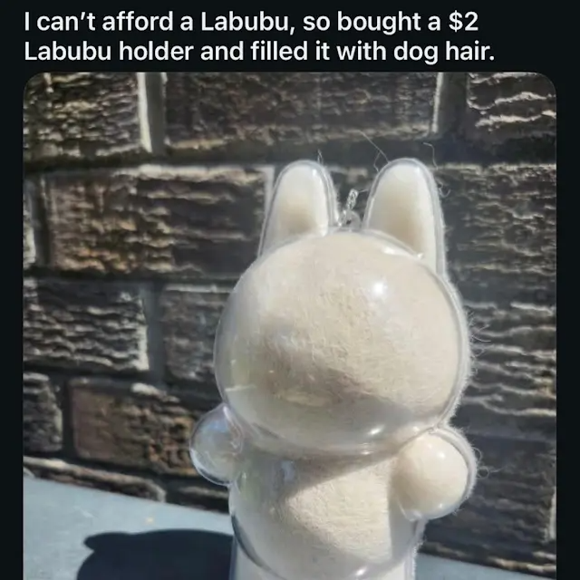yes