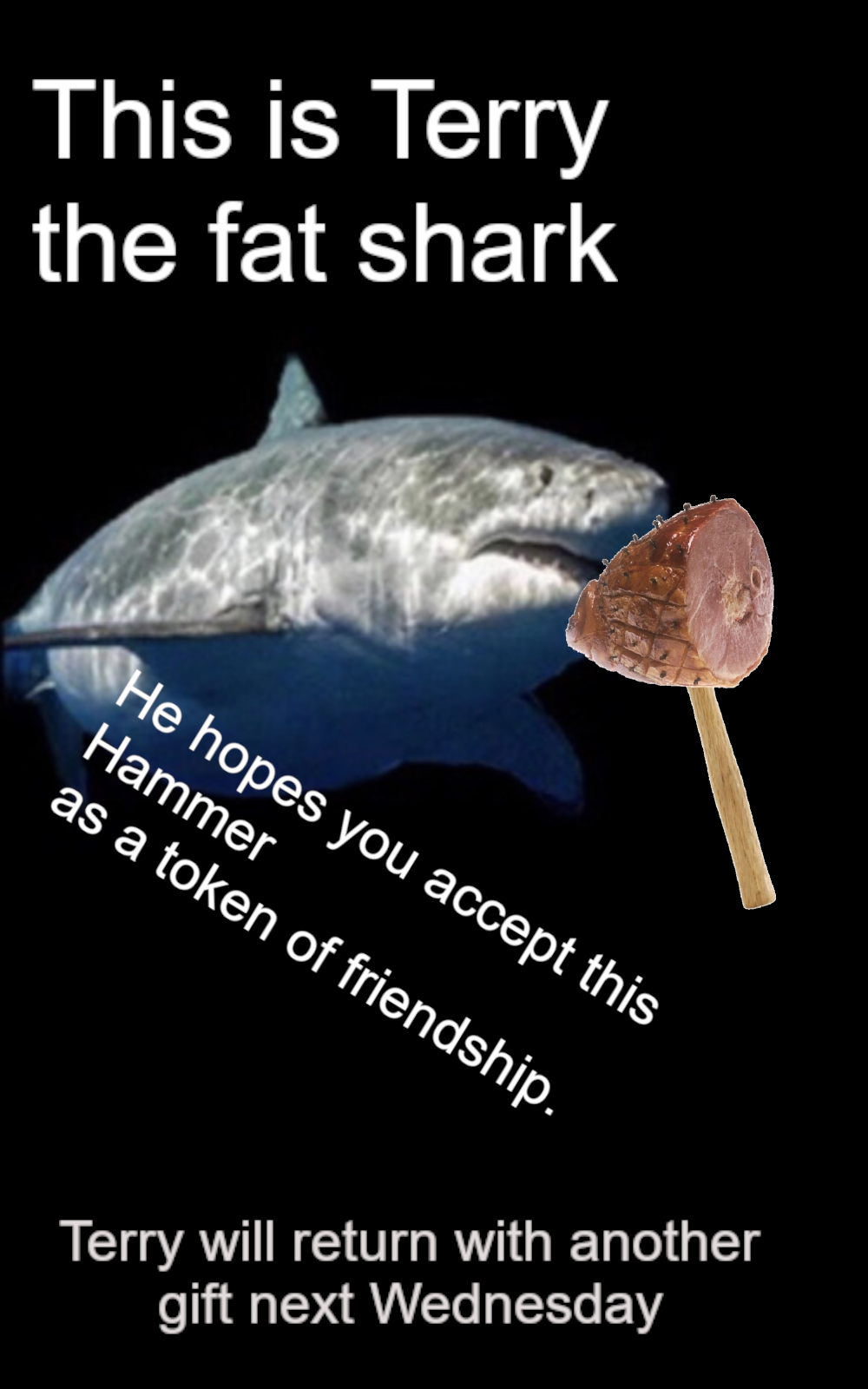 ​​​