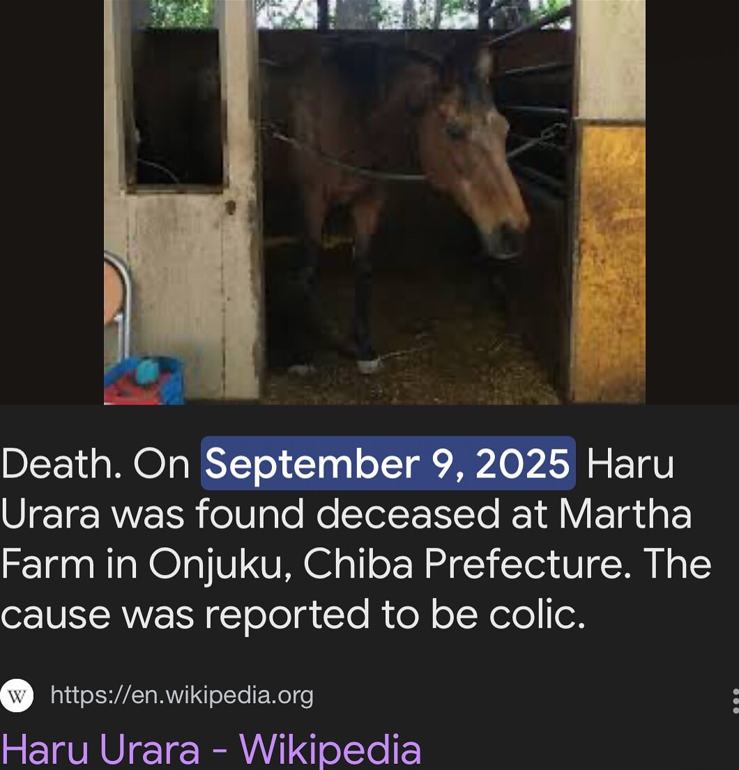 ​​​