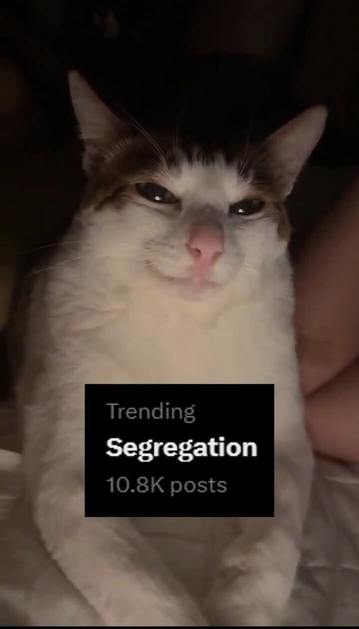 >;)