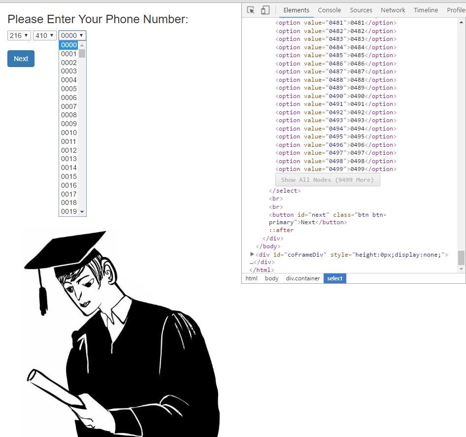 If you give the user an input field, there's the risk that Javascript will... get creative