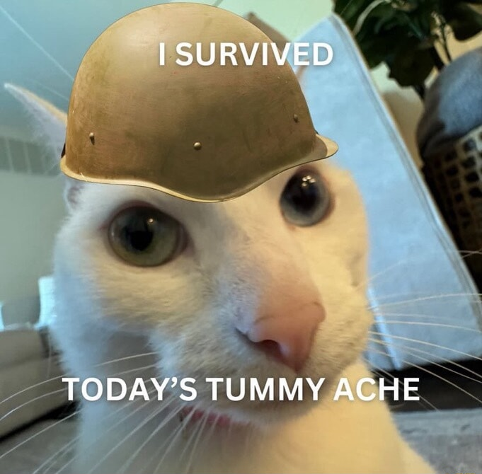 ​​​