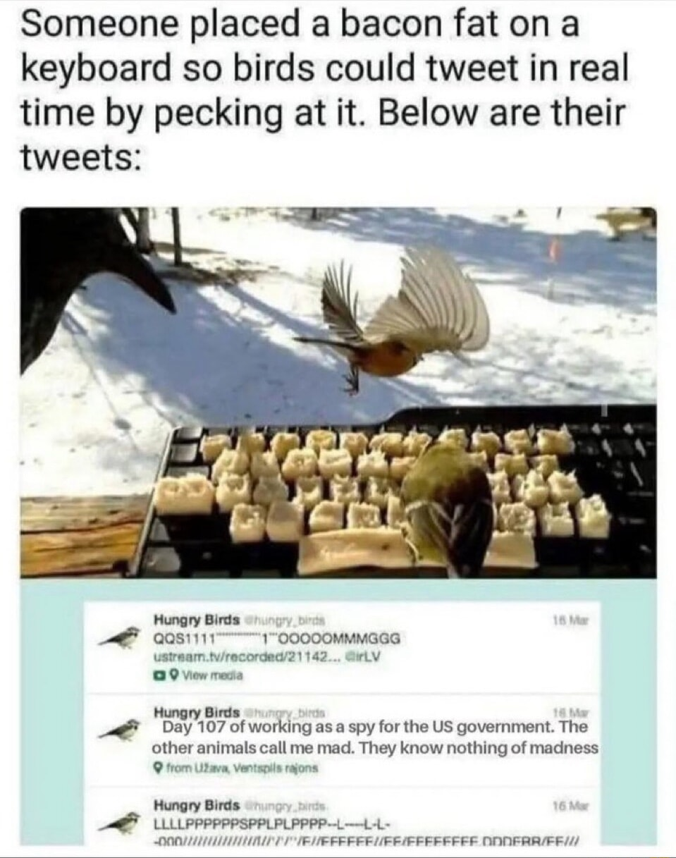 ​​​
