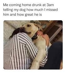 Best animal posting