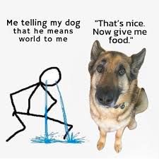‎ ‎ ‎