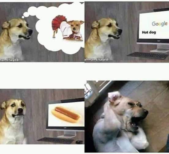 >meaty tube in between two buns