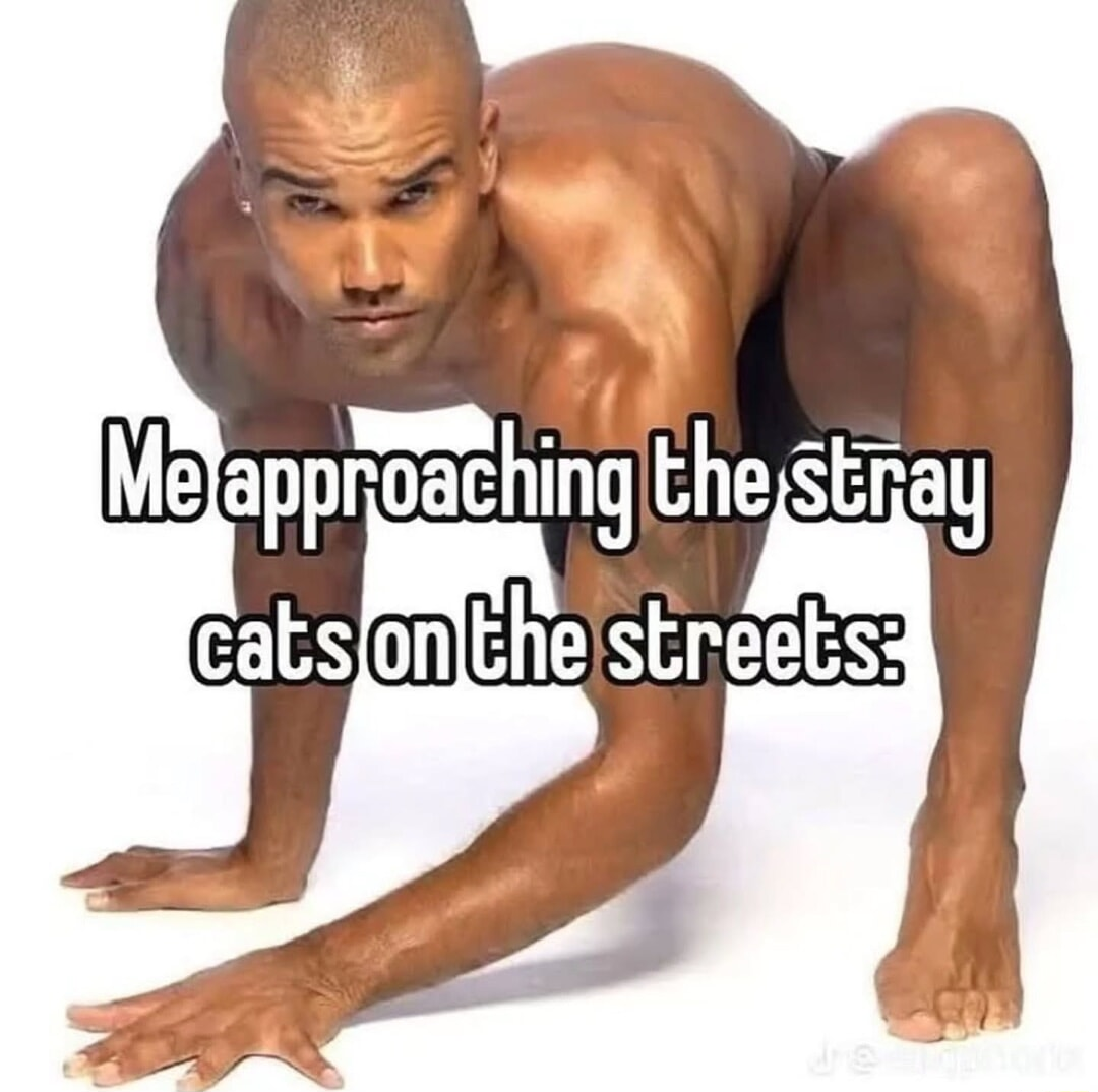 ​​​