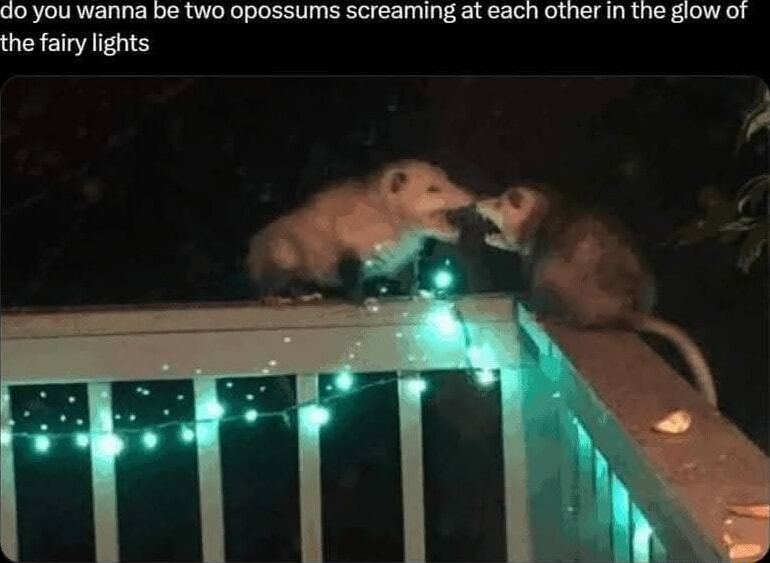 Flim and Darknesscome sitting in a tree