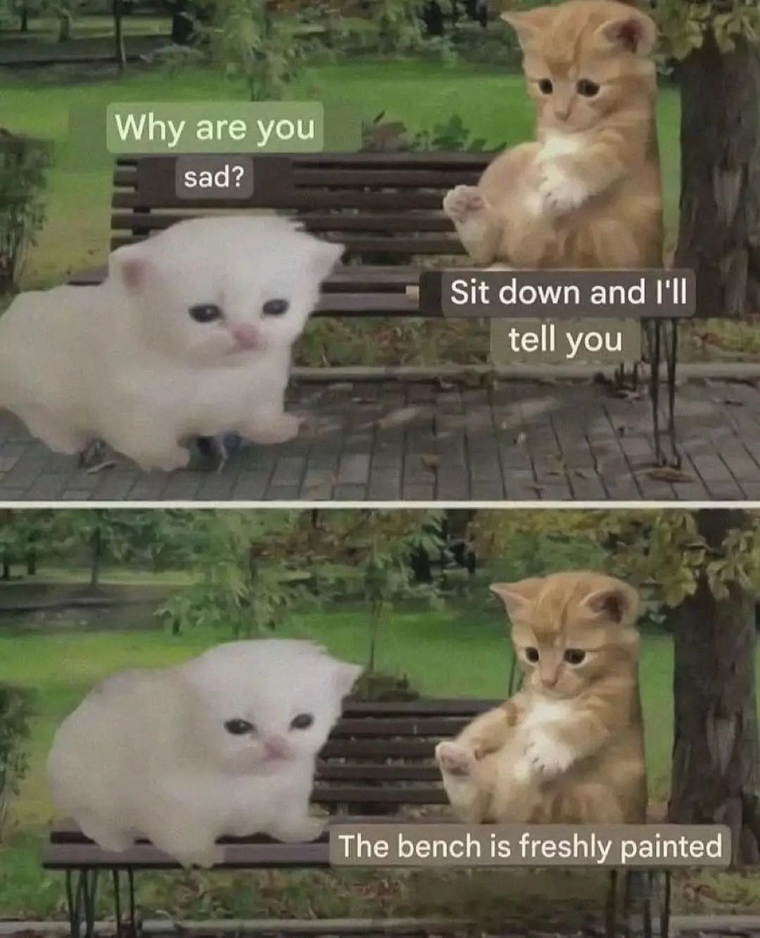 ***