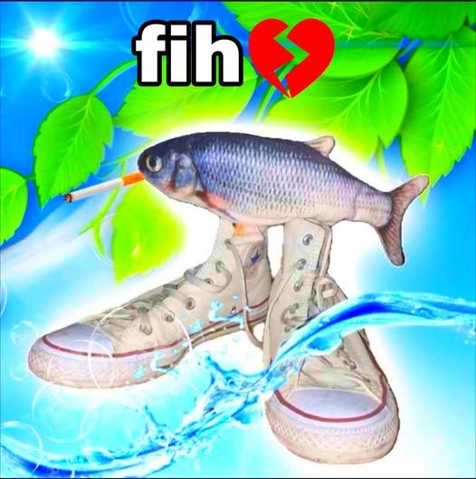 da fih breh