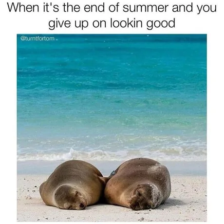 ‎ ‎