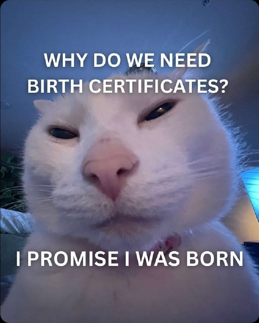 ​​​