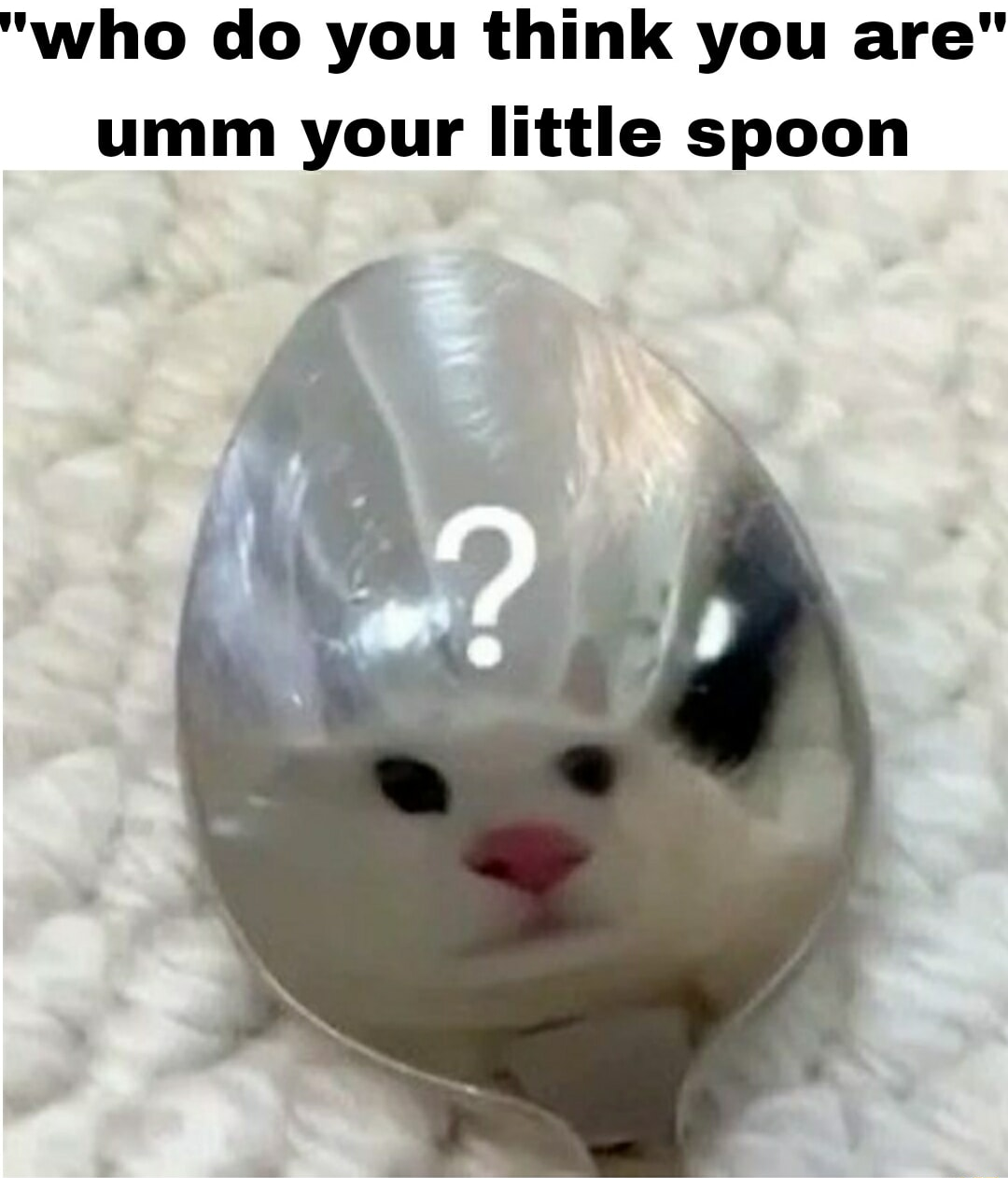 ​​​