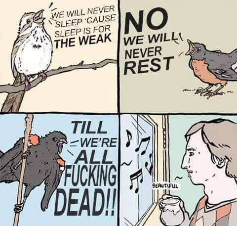 ​​​