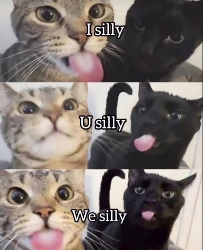 ​​​