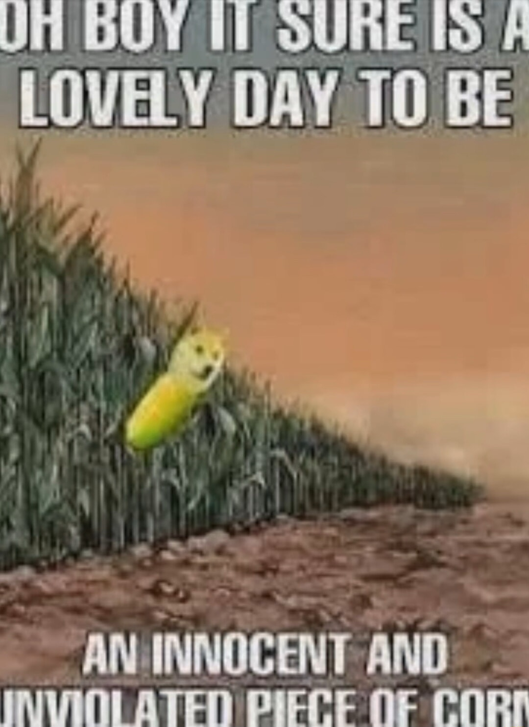 ​​​