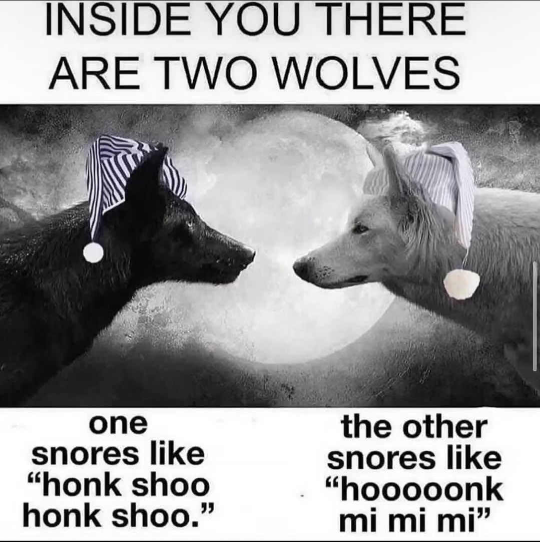 GN.