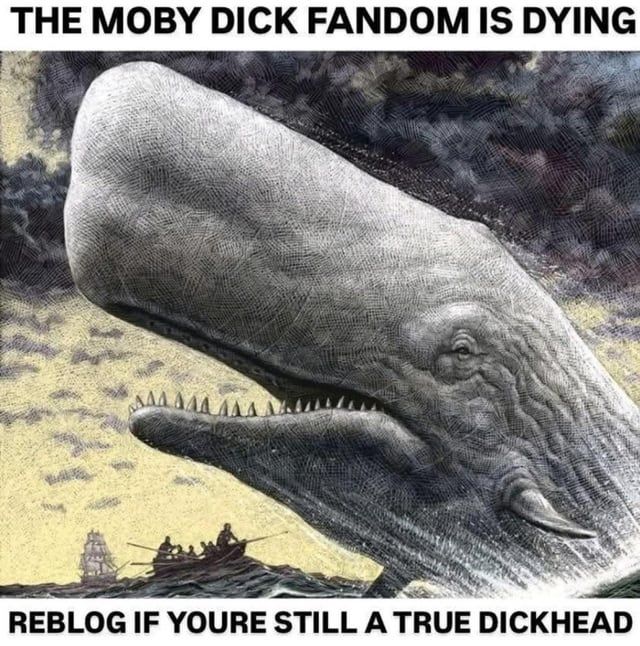 Not on my watch
