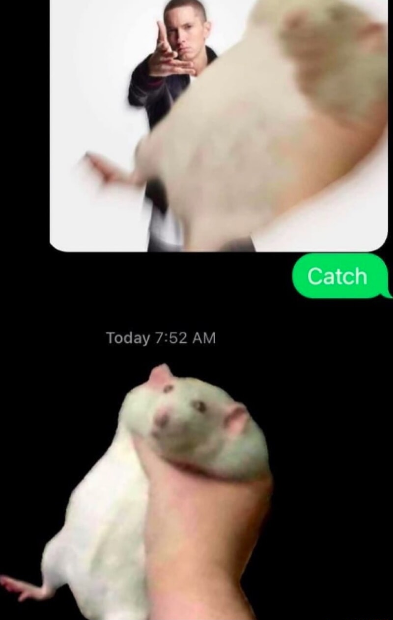 ​​​