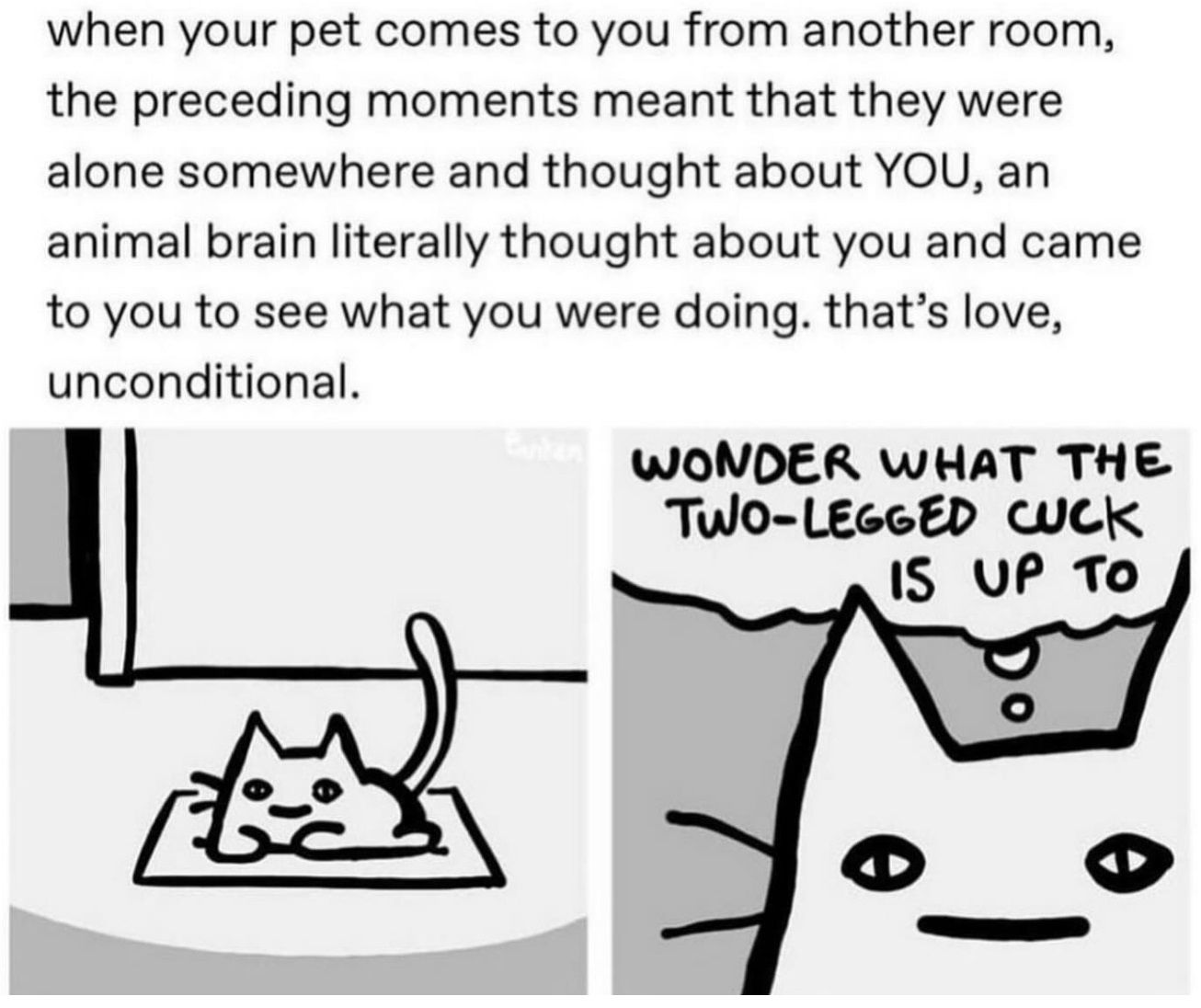 ***