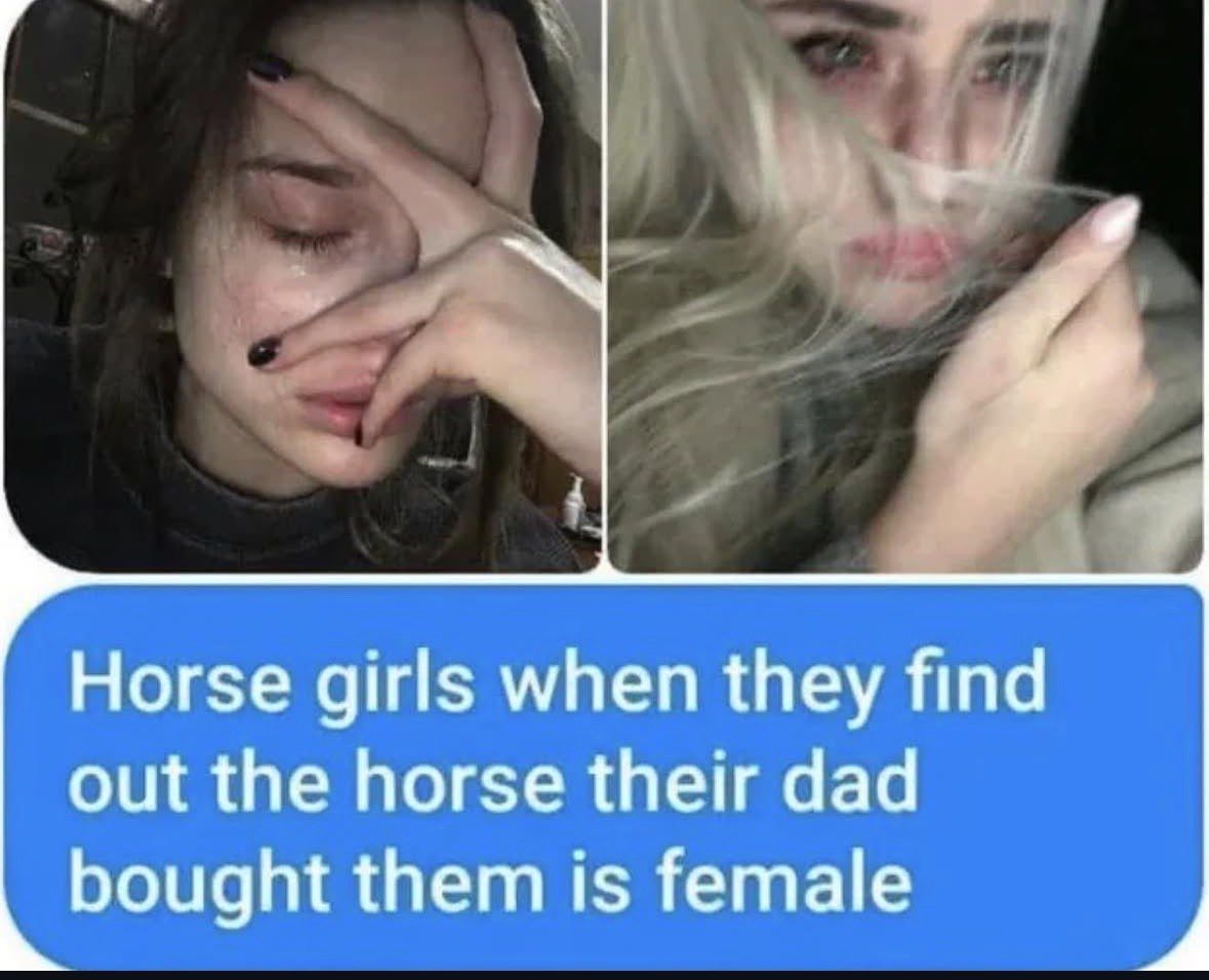 Day ruined