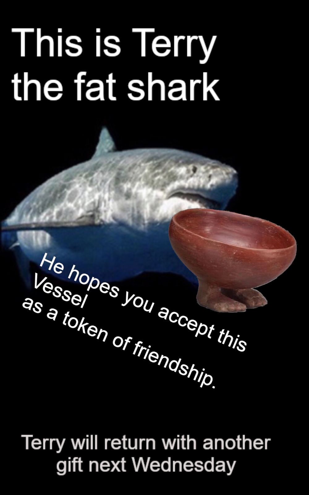 ​​​