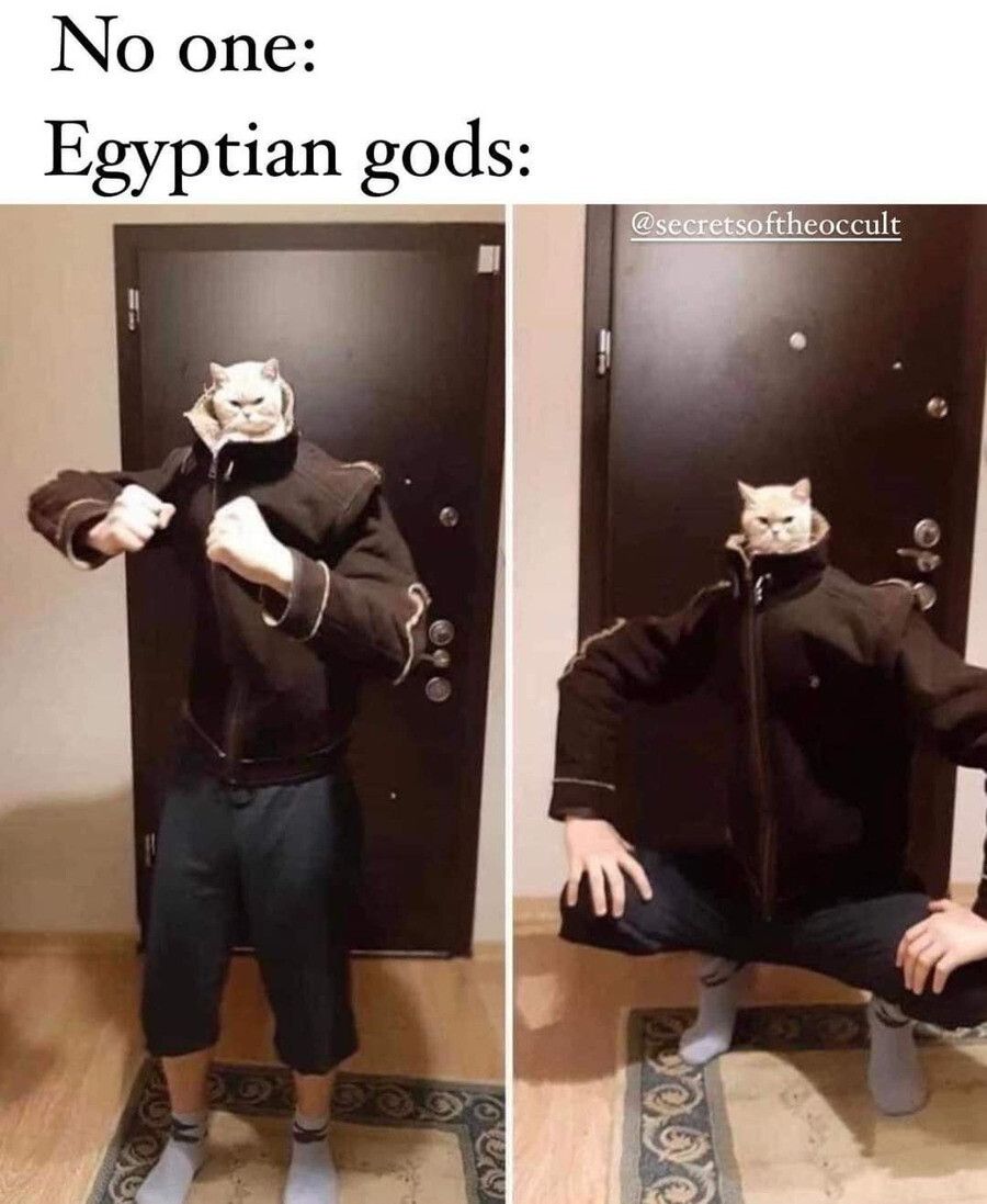 Meow :3