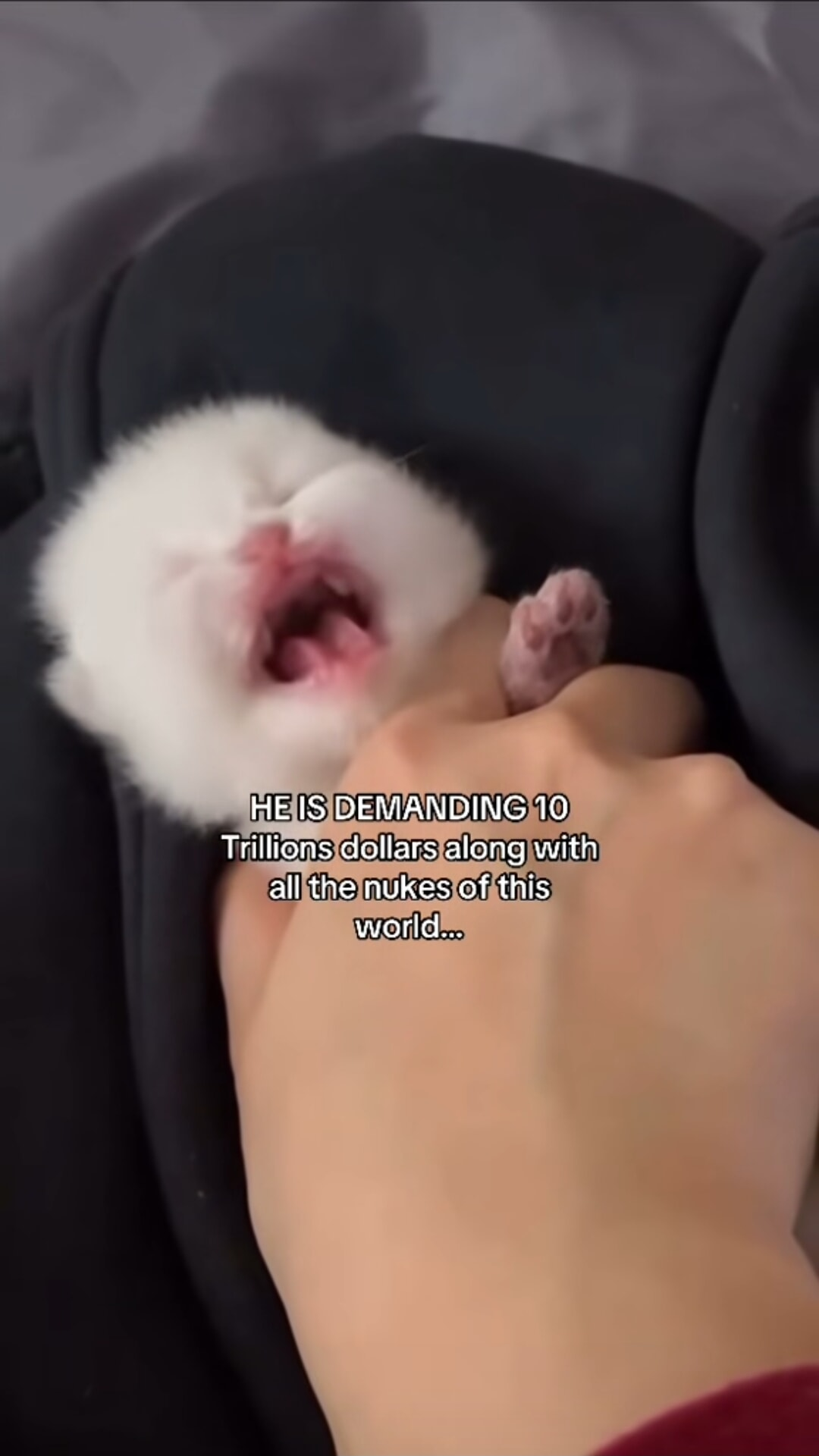 ​​​