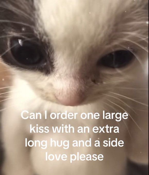 make the side large too