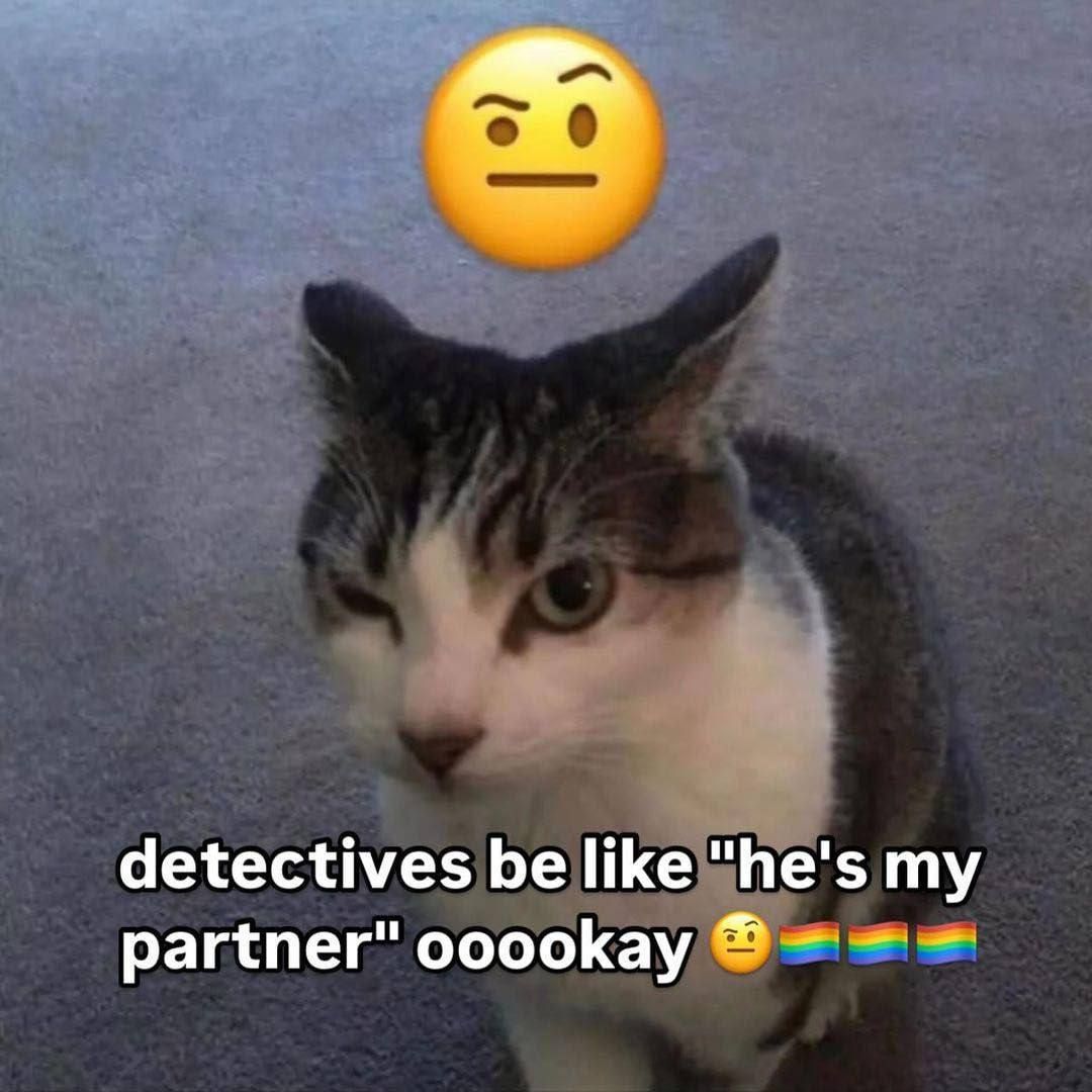 Gei