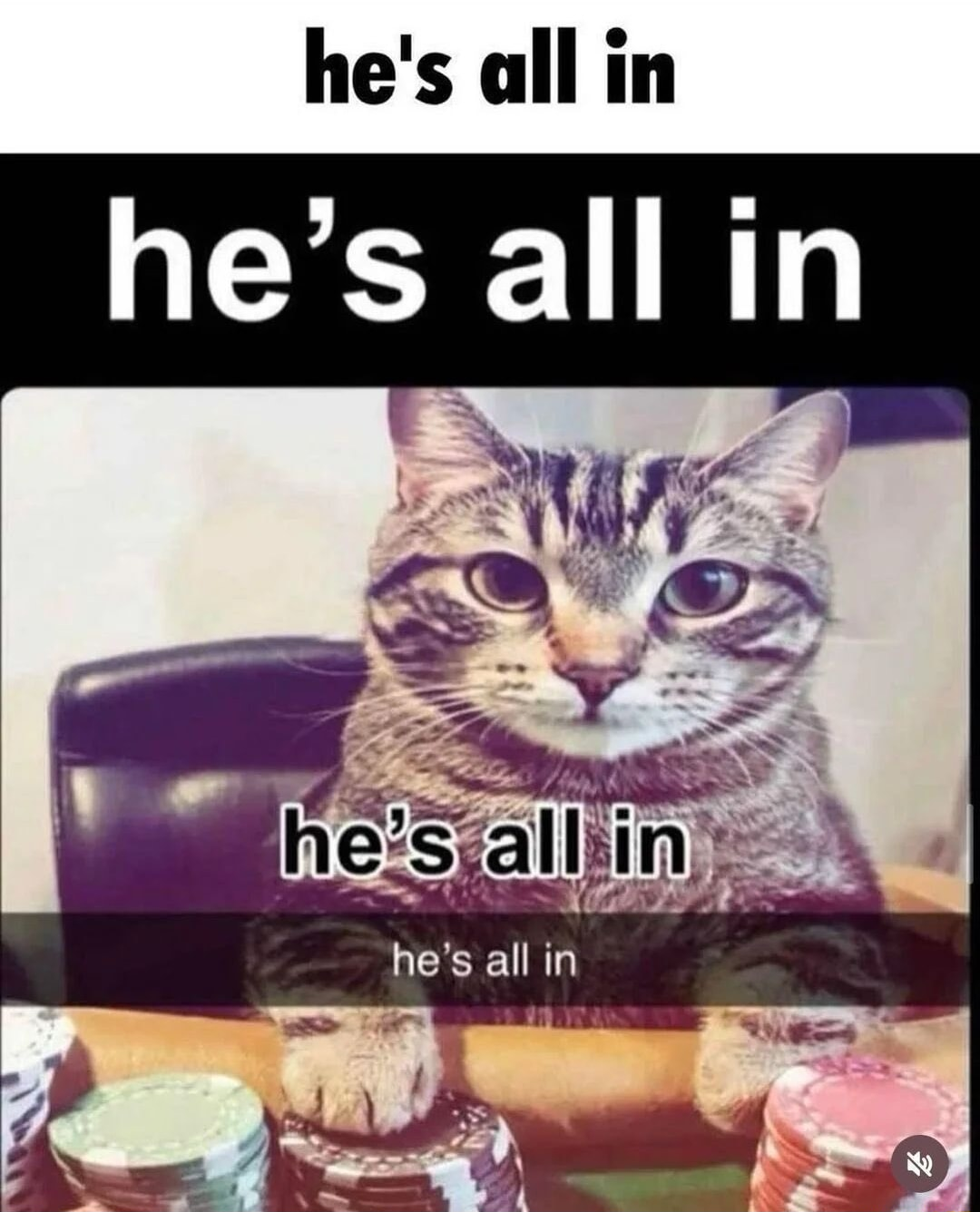 ​​​