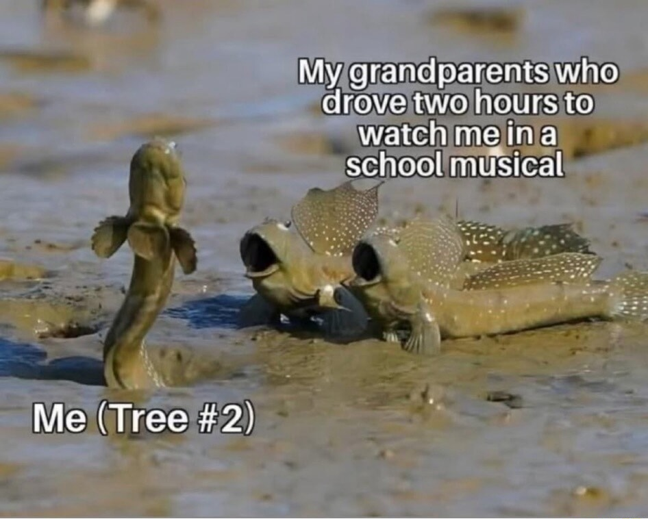 ​​​