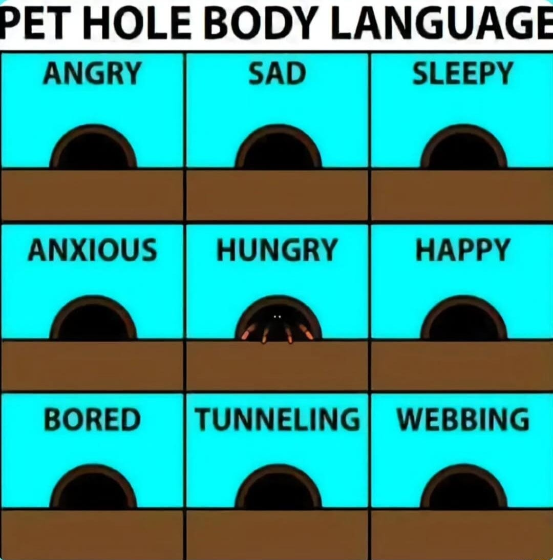 ​​​