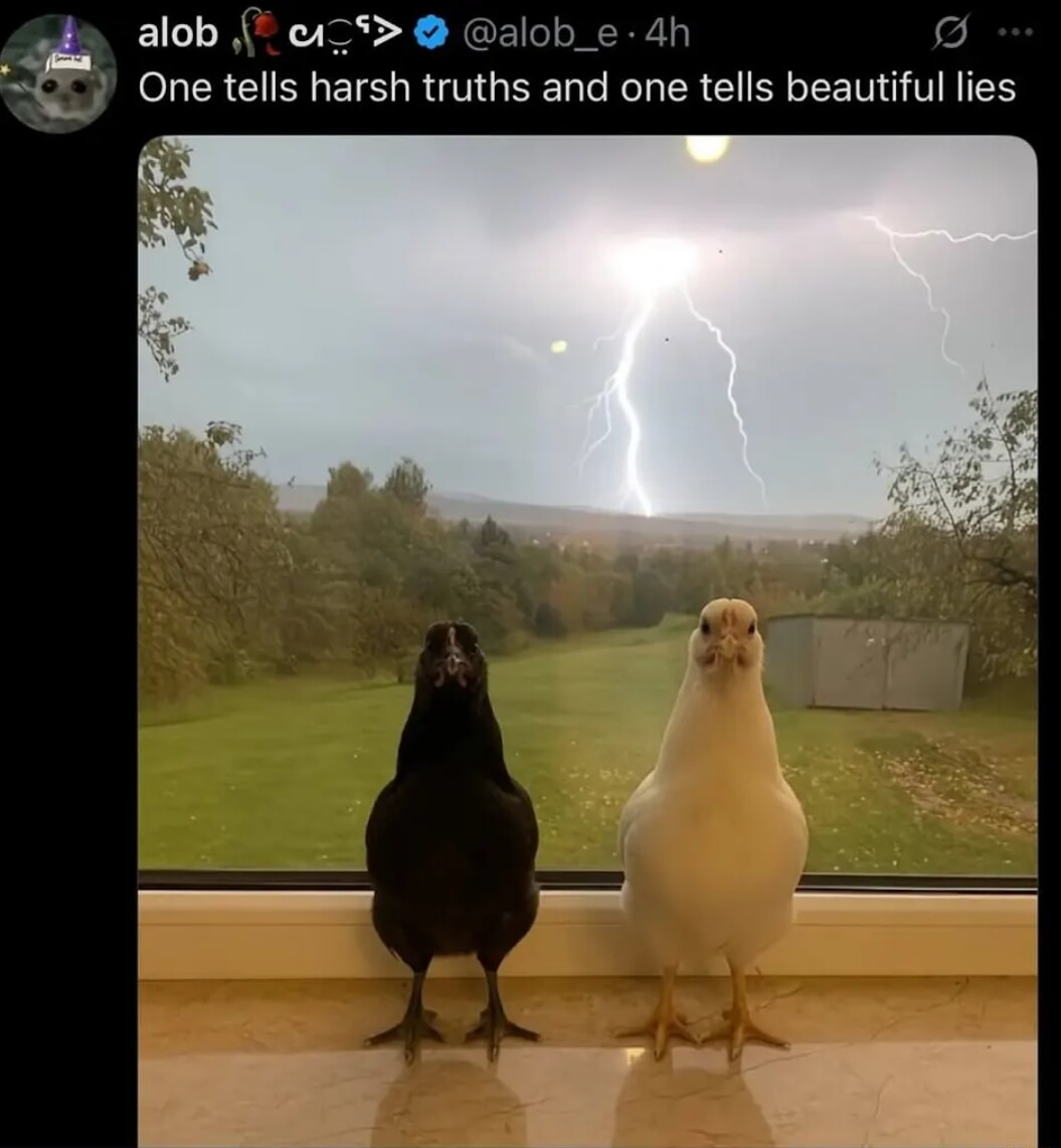 ​​​