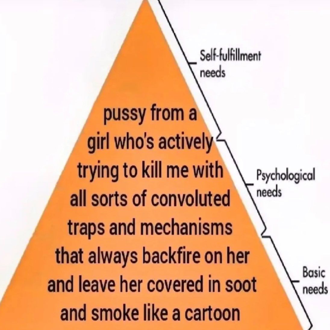 Basic human needs