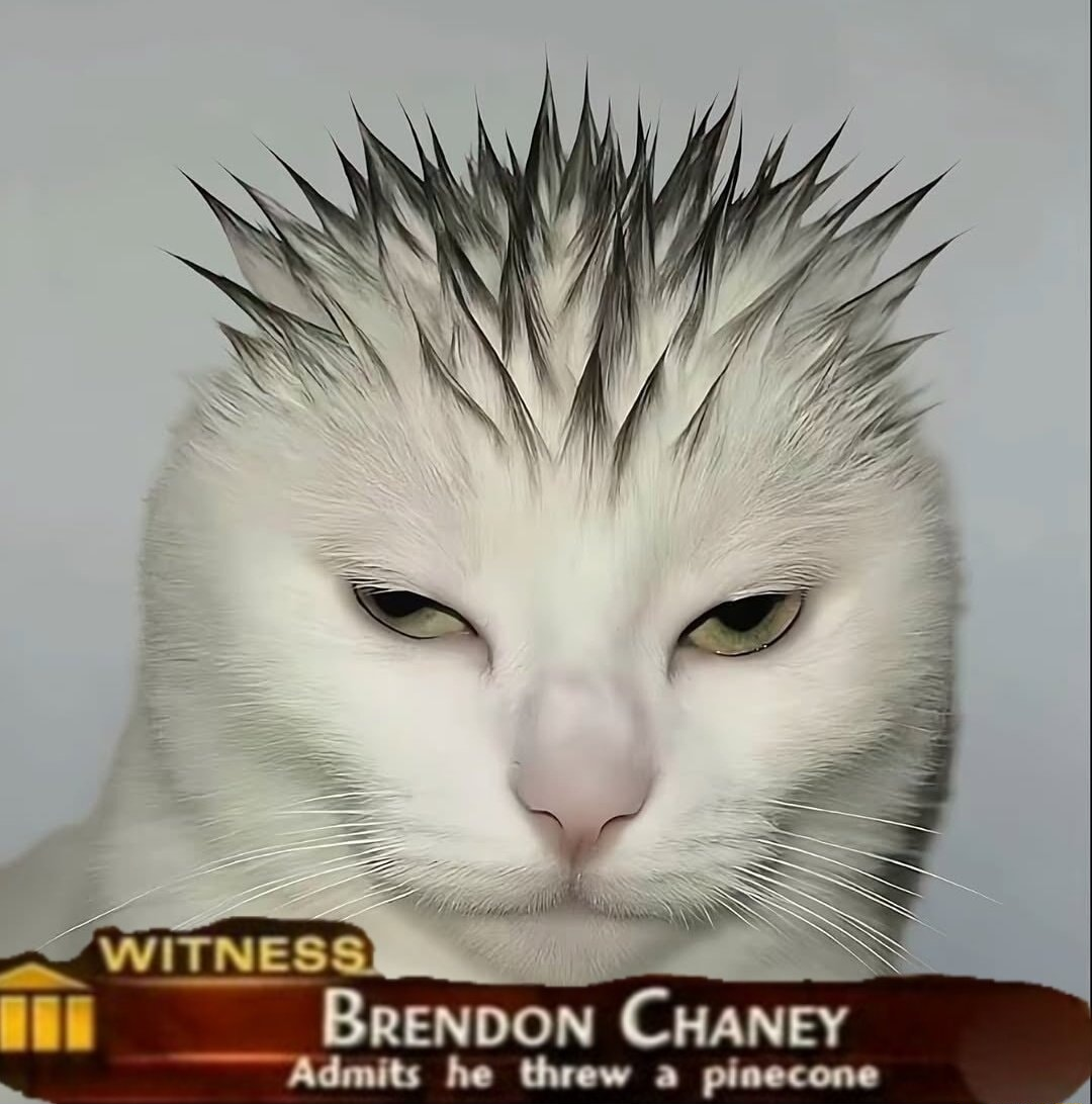 ​​​