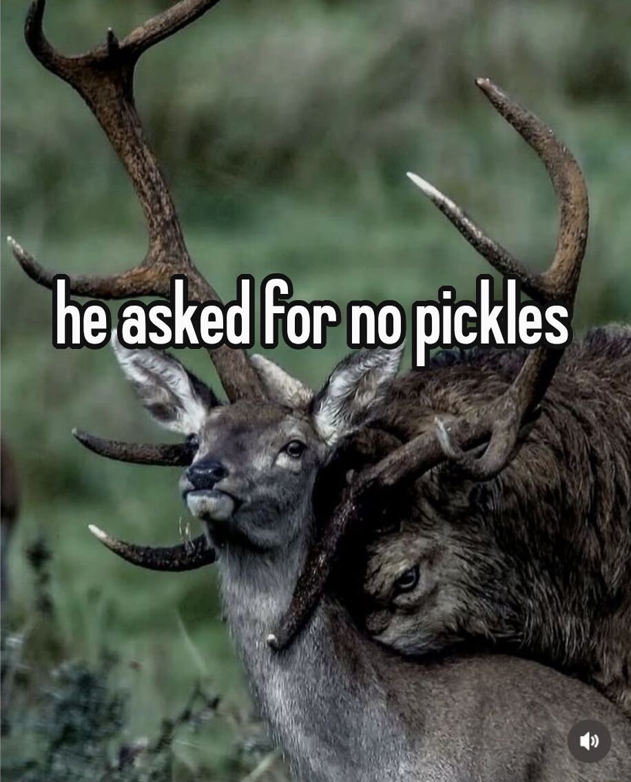 ​​​