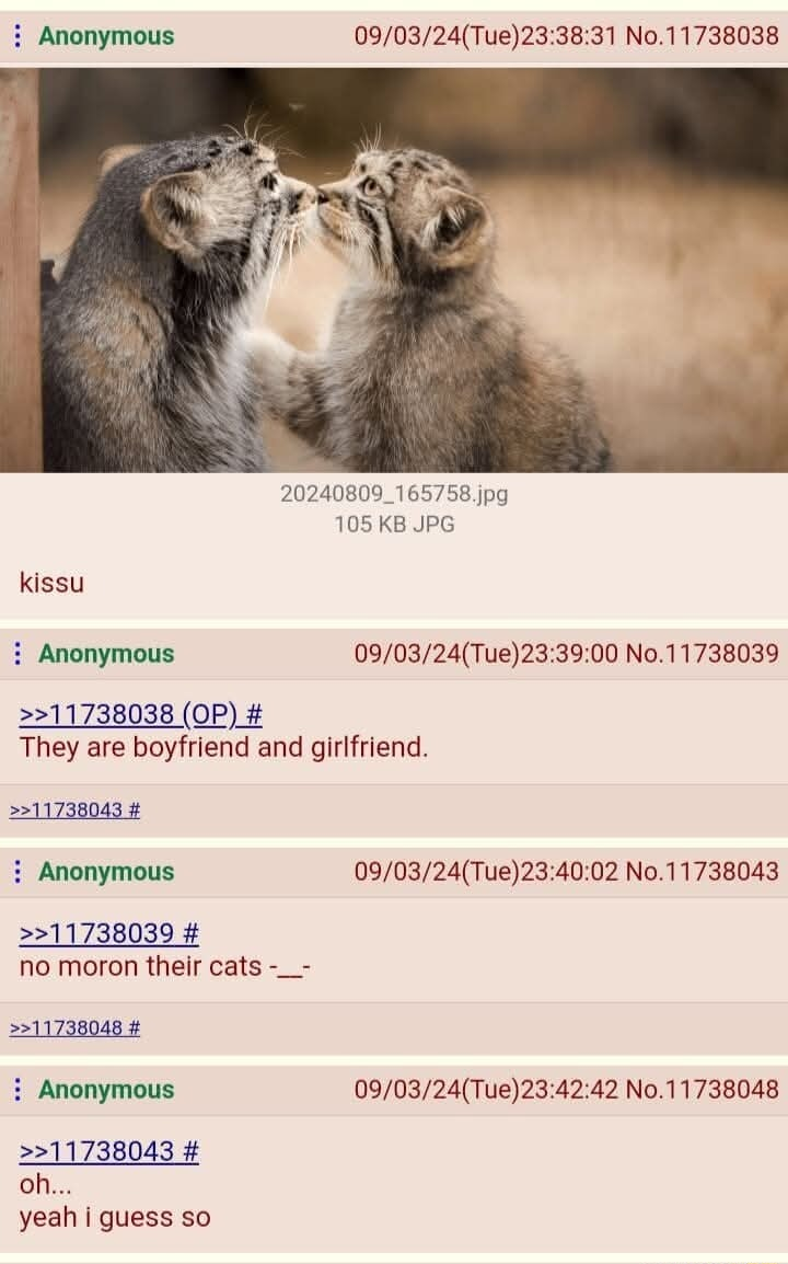 ​​​