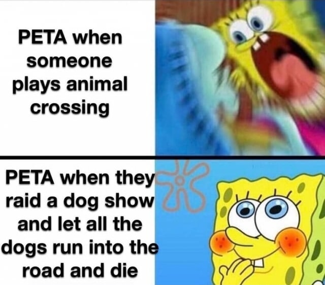 ​​​