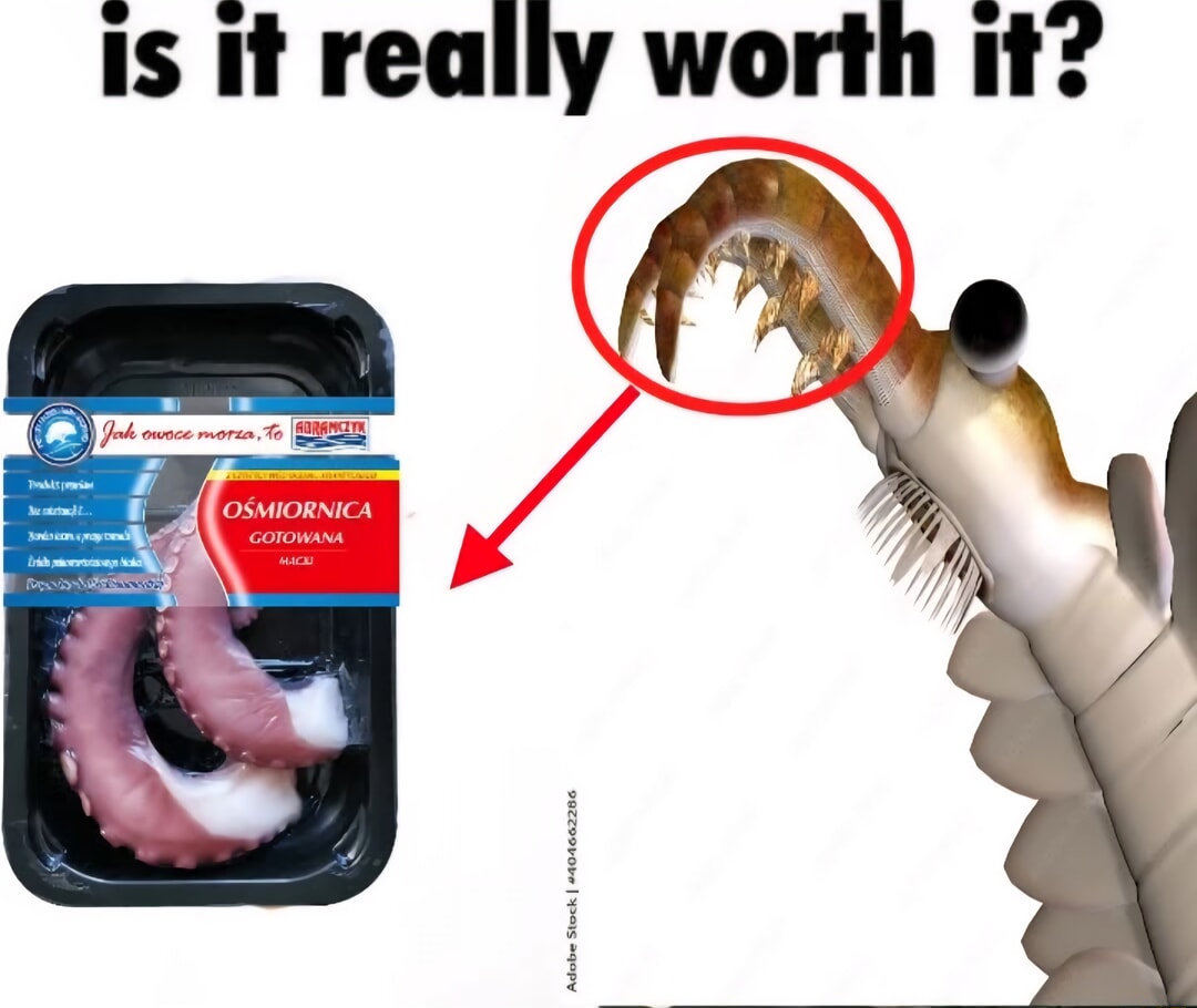 ​​​