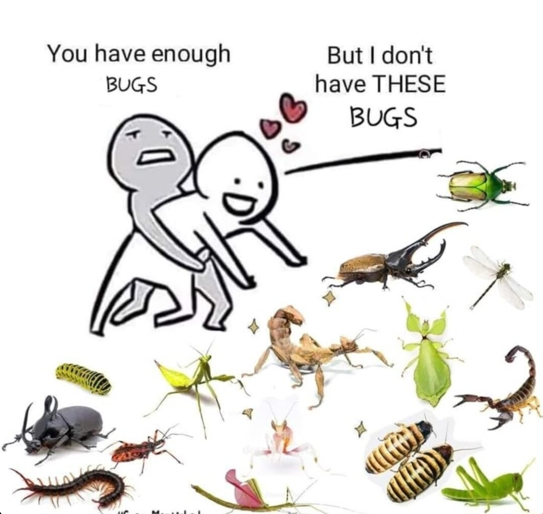 ​​​