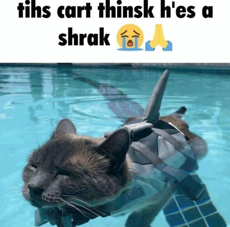 ​​​