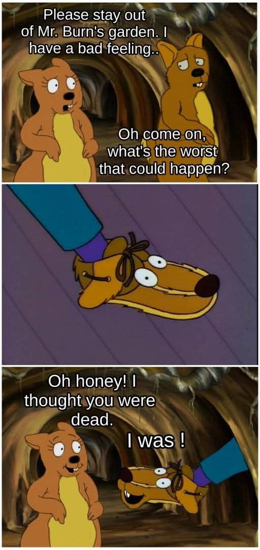 Gopher loafers