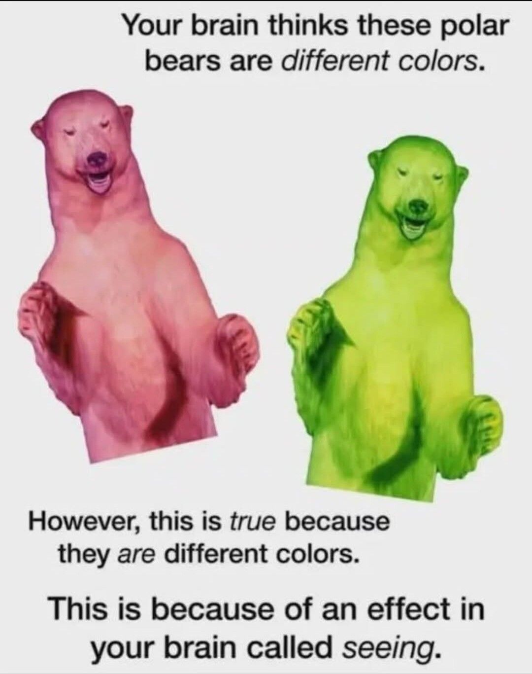 WOW