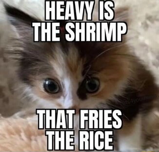 ​​​