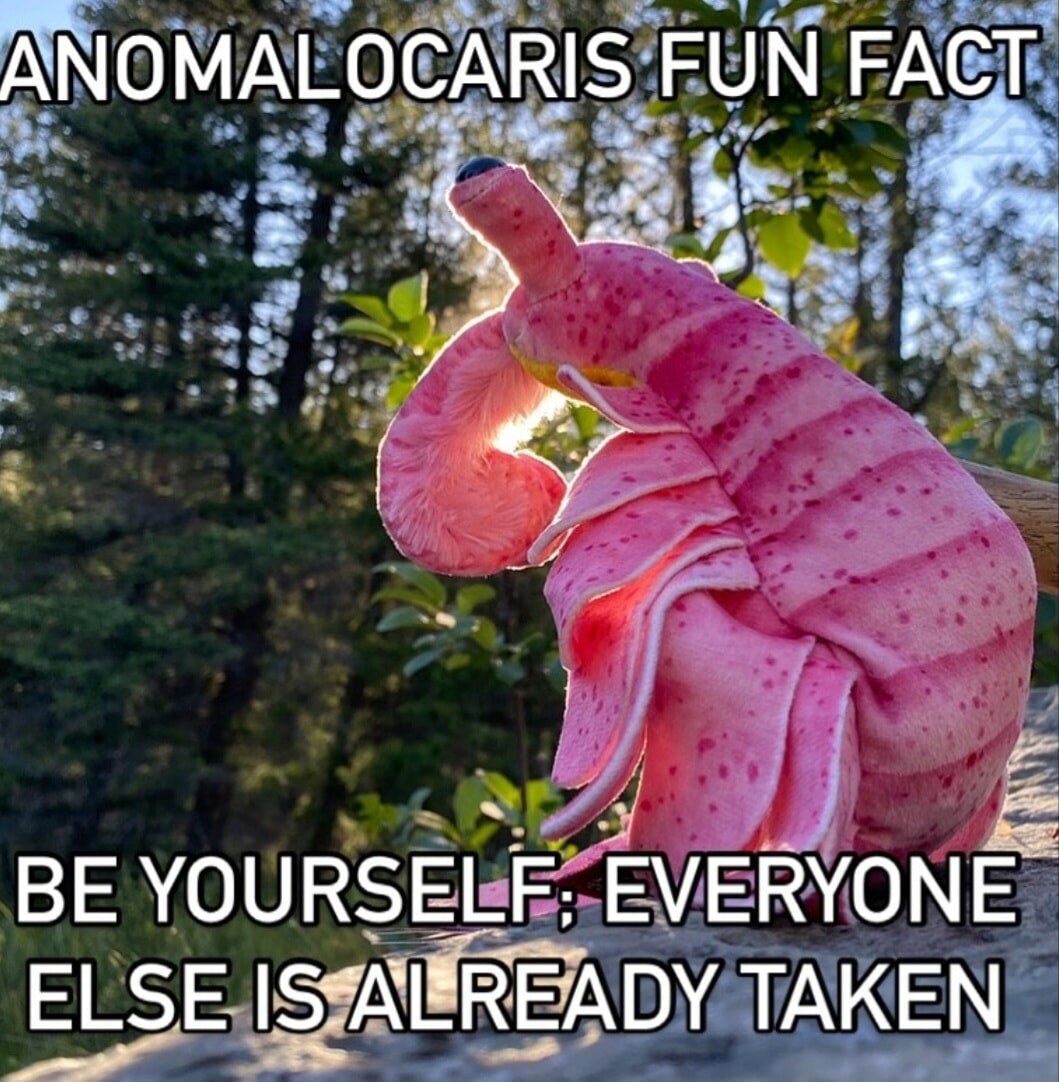 ​​​