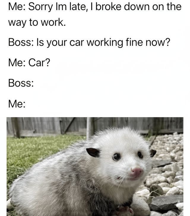 Monday vibes