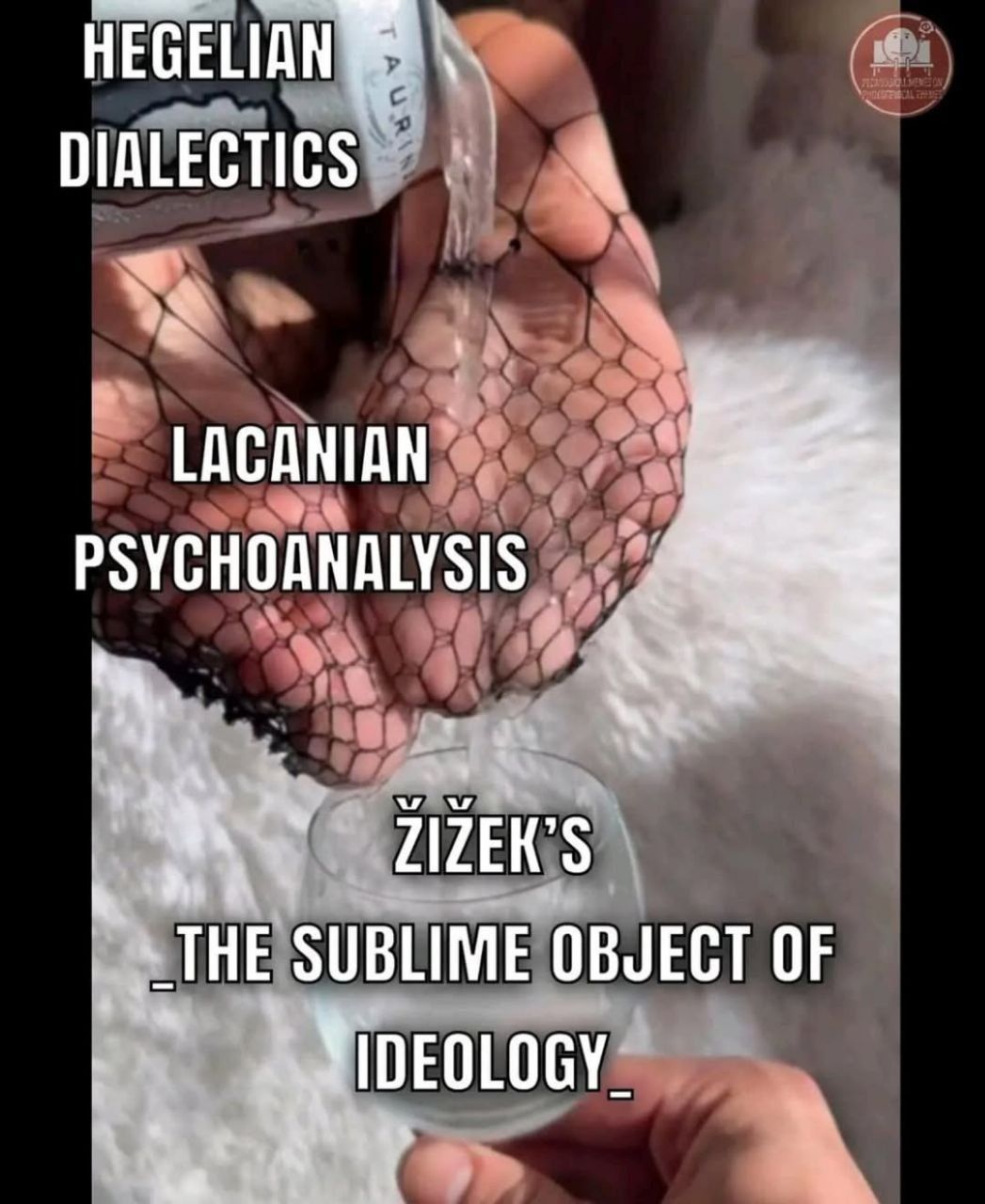 Žižekposting