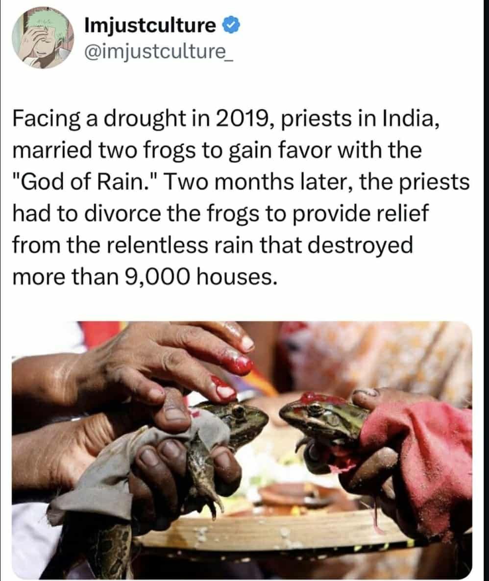 NEVER underestimate Wednesday Frogs™